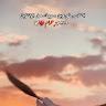 Ammar