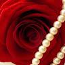 Rote