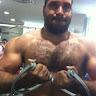 wael