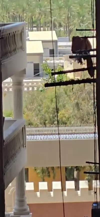 Apartment for sale in Montazah