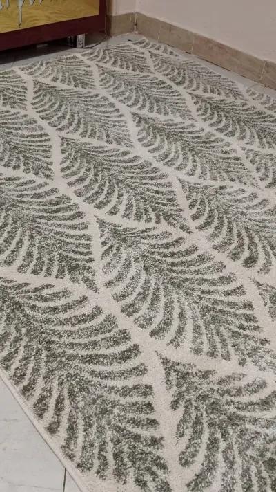 سجاده 155×215 في إمبابة, الجيزة - 750 EGP