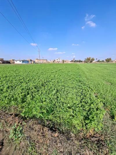 Residential Land for sale in Faqous