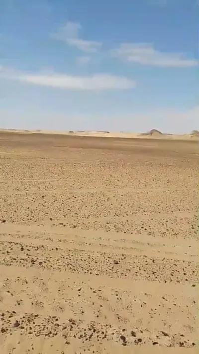 🌾 امتلك 400 فدان في قلب الواحات البحرية – منطقة الحارة