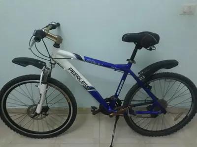 bike peerless في مريوطية, الجيزة - 6,000 EGP