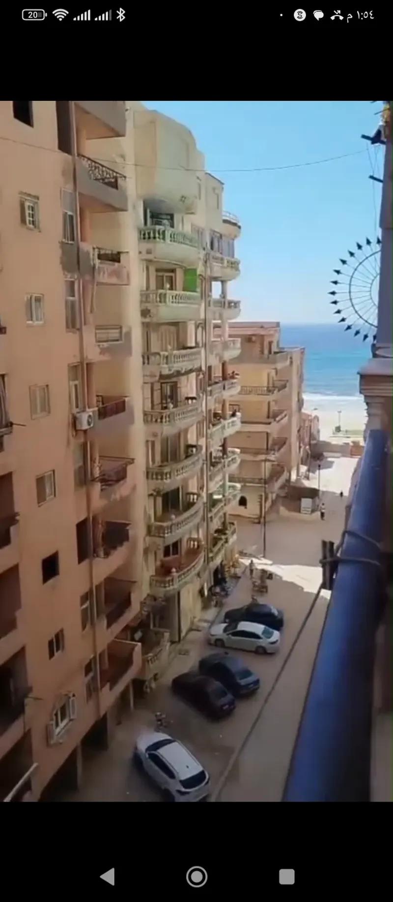 شقه للبيع في الاسكندريه العجمي اكتوبر النخيل