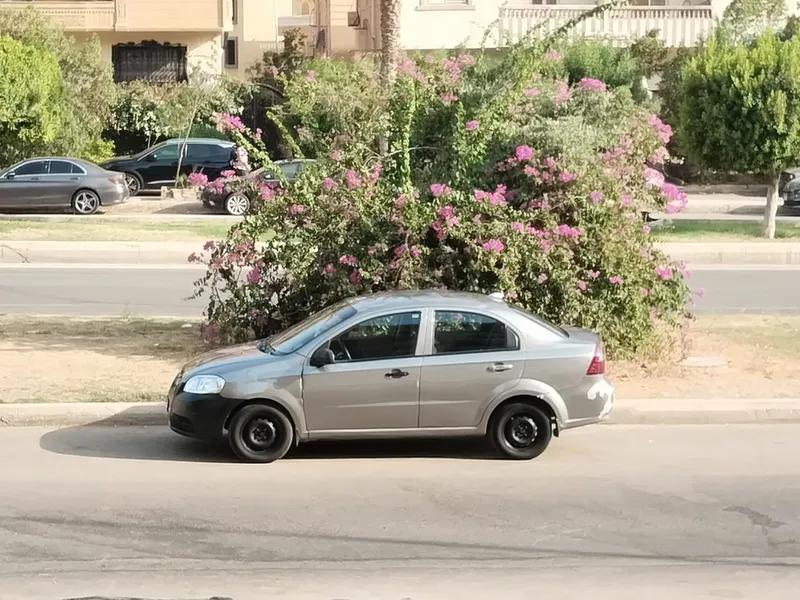 شيفورليه افيو