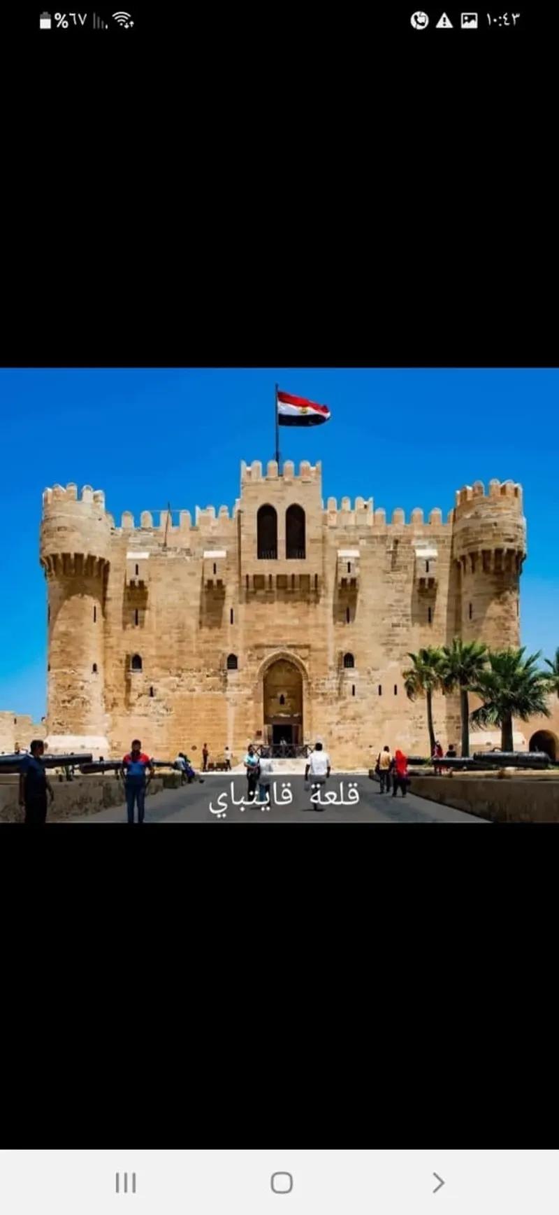 شقه بالعاشر من رمضان