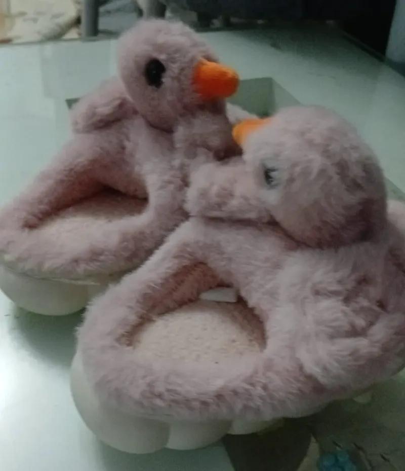 لكلوك اطفال شى إن