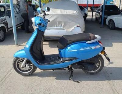 حوا مارينو كلاسي 2021