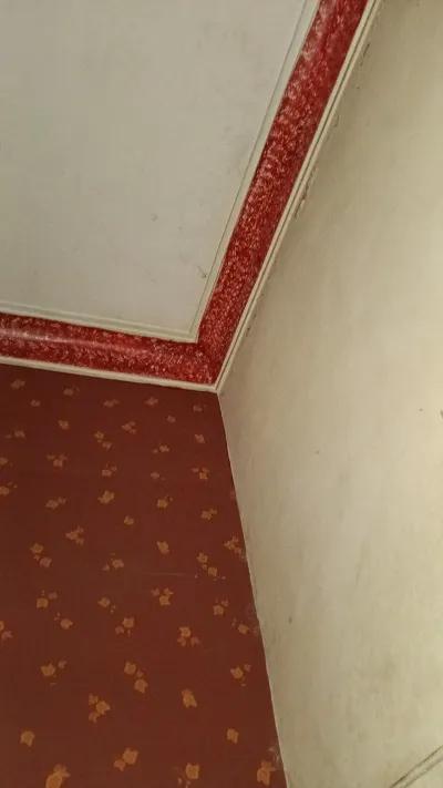 Apartment for sale in Zamalek