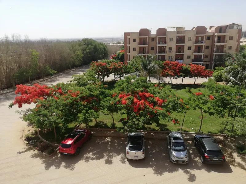 شقه بينتهاوس للبيع