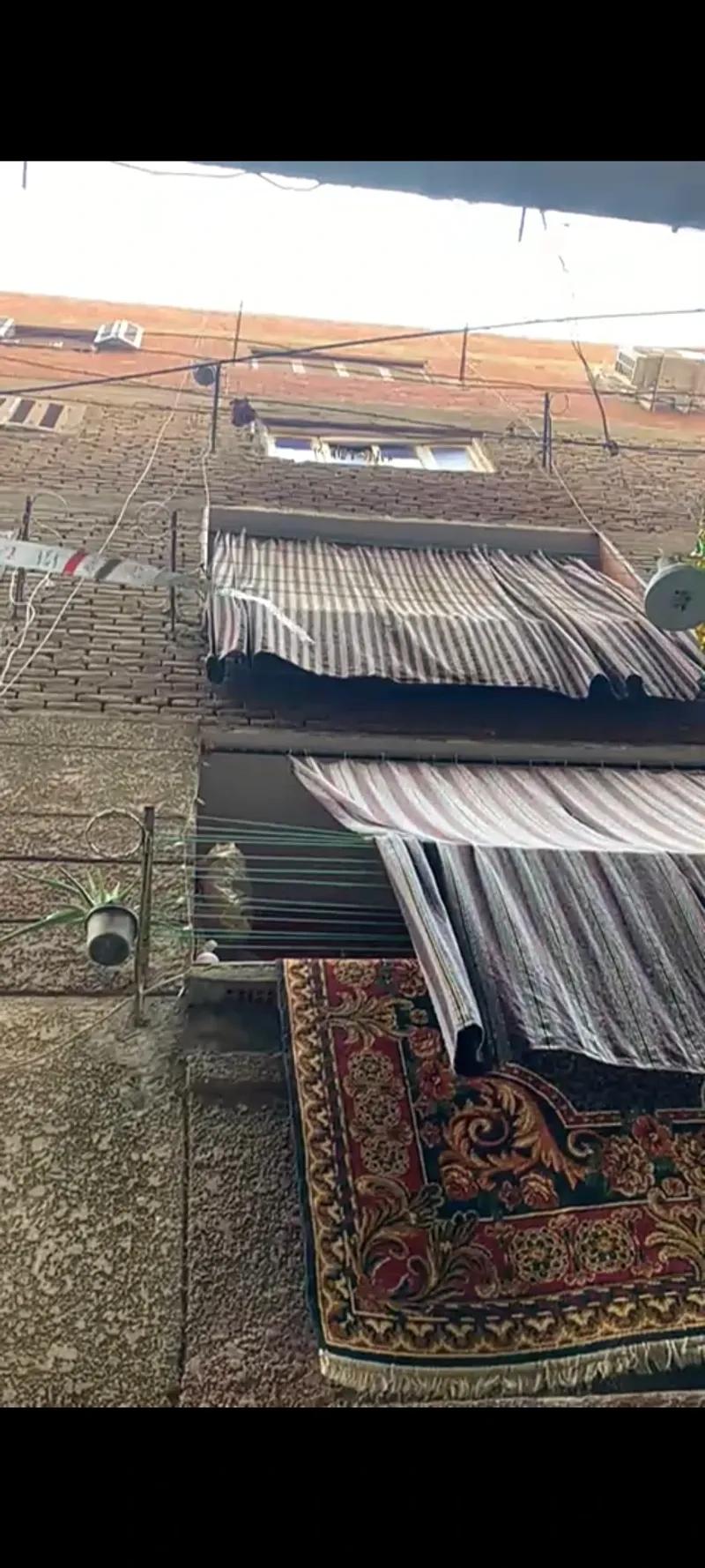 شقه للبيع من المالك