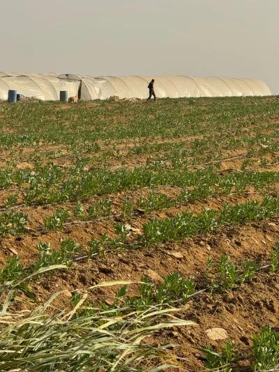 ارض زراعيه للبيع بوادي النطرون