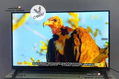 شاشة تلفزيون 32 بوصة رسيفر داخلي فريمليس أي كاست جديدة SyinixE324M في جاردن سيتي, القاهرة - 4,700 EGP