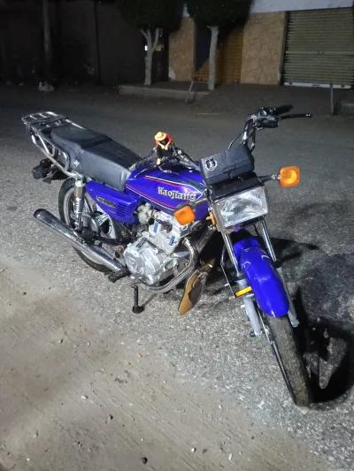 هوجن اخري 2010