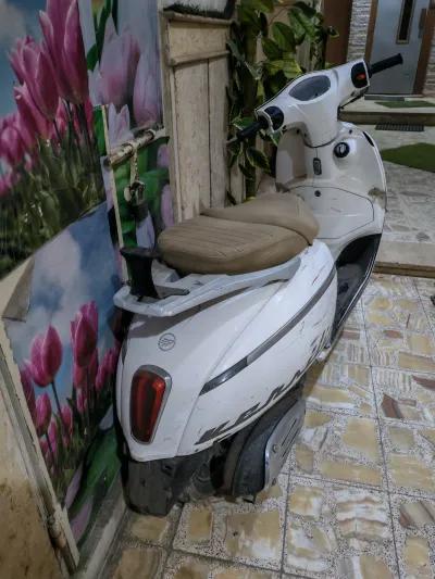 كي واي فيرسيليا 2024