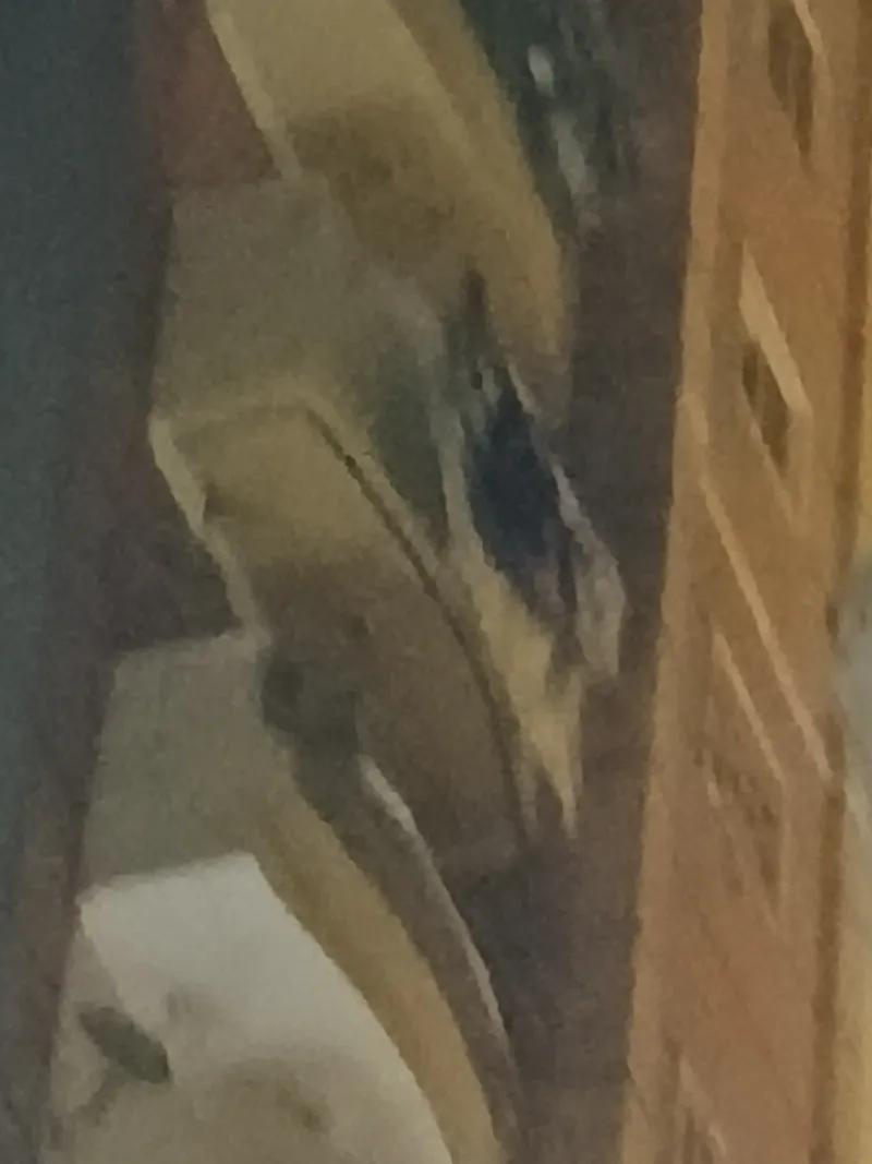 شقة لقطة للبيع