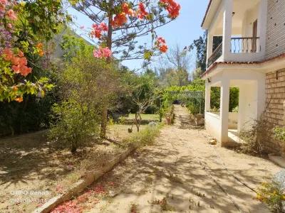 Villa for sale in Hammam in Hammam, Matrouh - 10,500,000 EGP