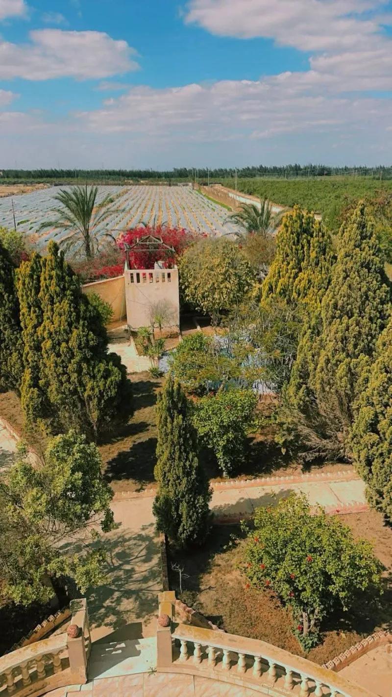 مزرعة للبيغ