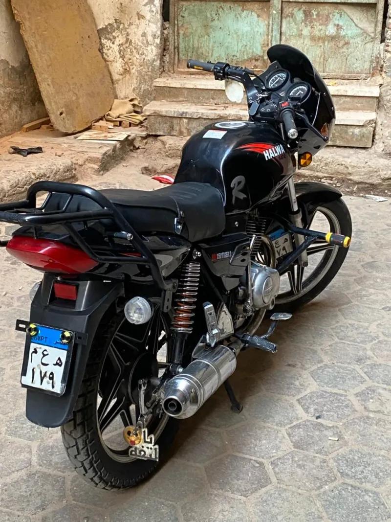 موتسكل حلاوه تايجر