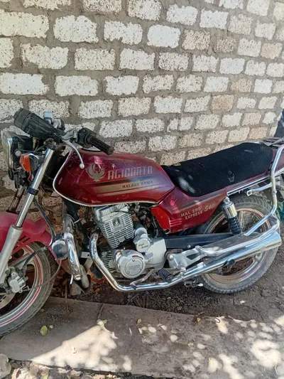 Halawa Alicanto 2019