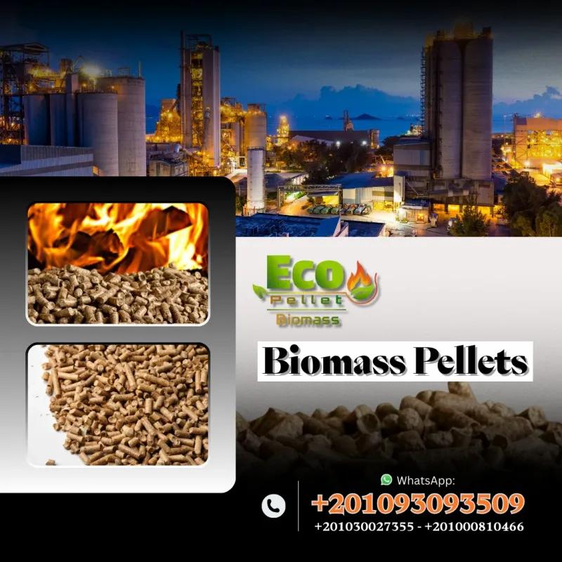 الوود بيليت