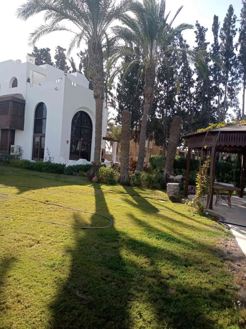 2فيلا مفروشه+4فدان مانجومثمرة ملك نهائي مسجل شهر عقاري