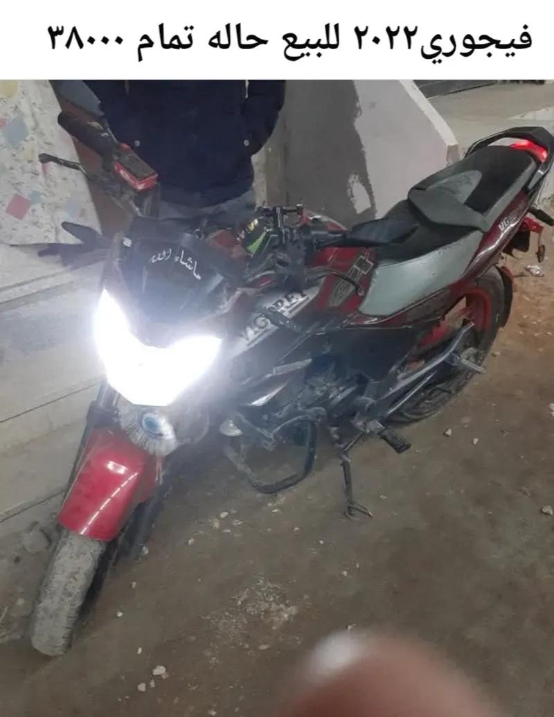 فيجوري٢٠٢٢