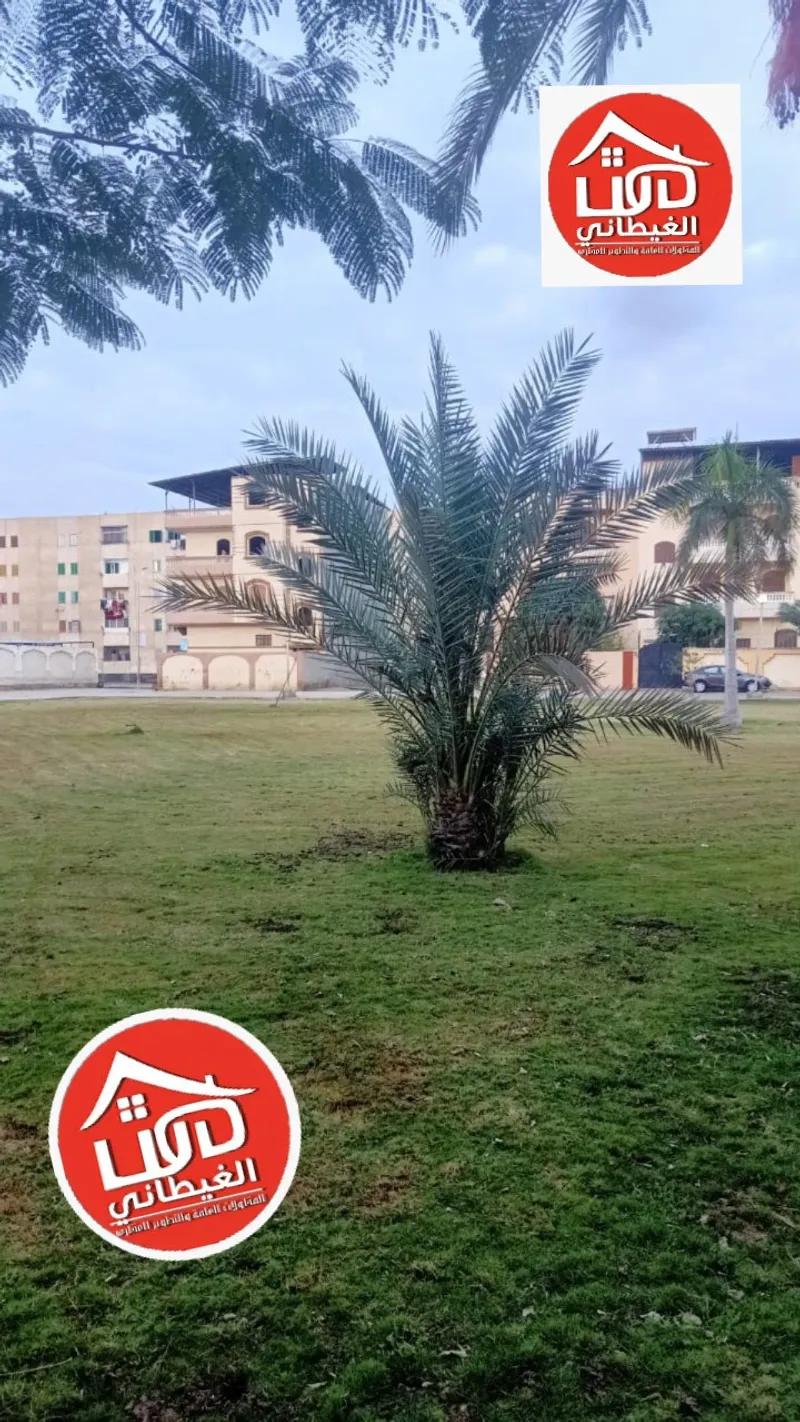 بيت للبيع علي مسطح اخضر