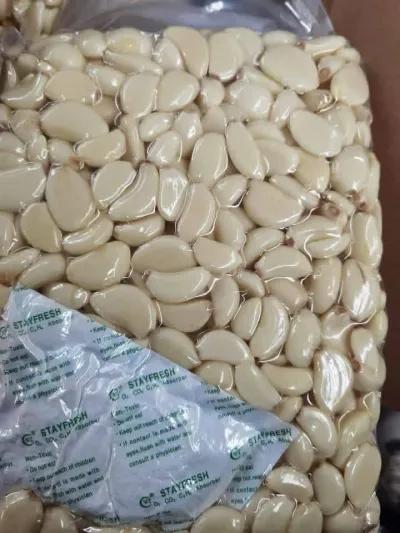 توم بلدي مقشر وزن ٥٠٠ جرام بسعر ٤٠ جنيه في الغردقة, البحر الأحمر - 40 EGP