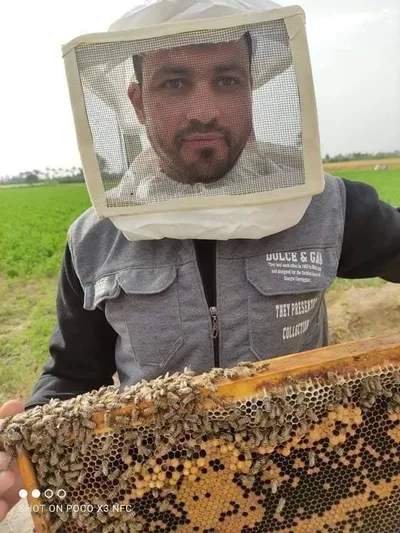 عسل نحل خام