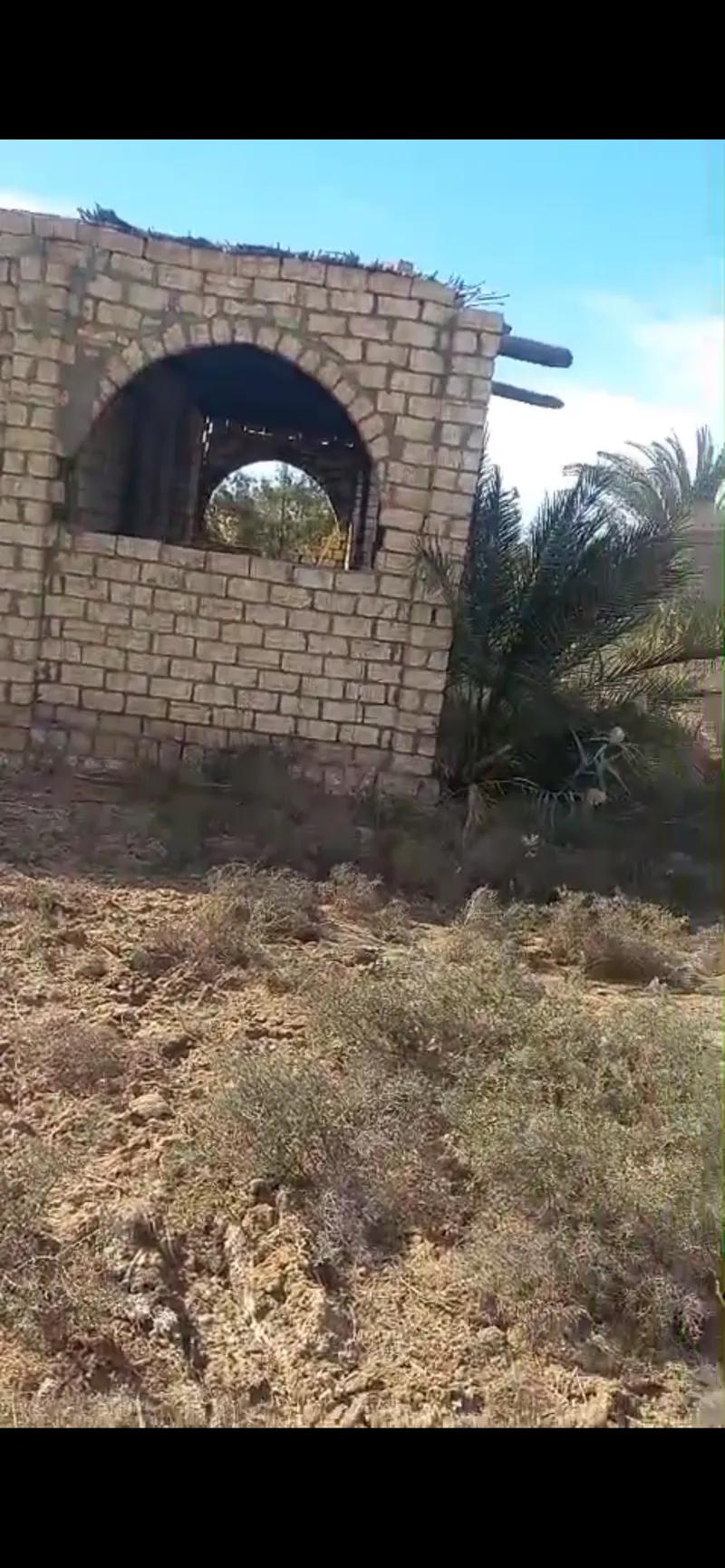 ارض 21 فدان لزراعه او للمزارع السمكيه او الدواجن