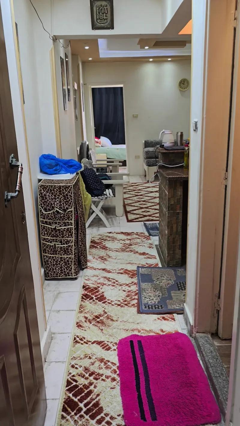 استديو ثاني نمرة من البحر .. غرفة وريسيبشن