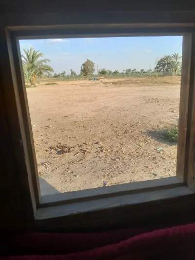 فدان بترول للبيع في بني سويف اهناسيا المدينه لتواصل 01555958