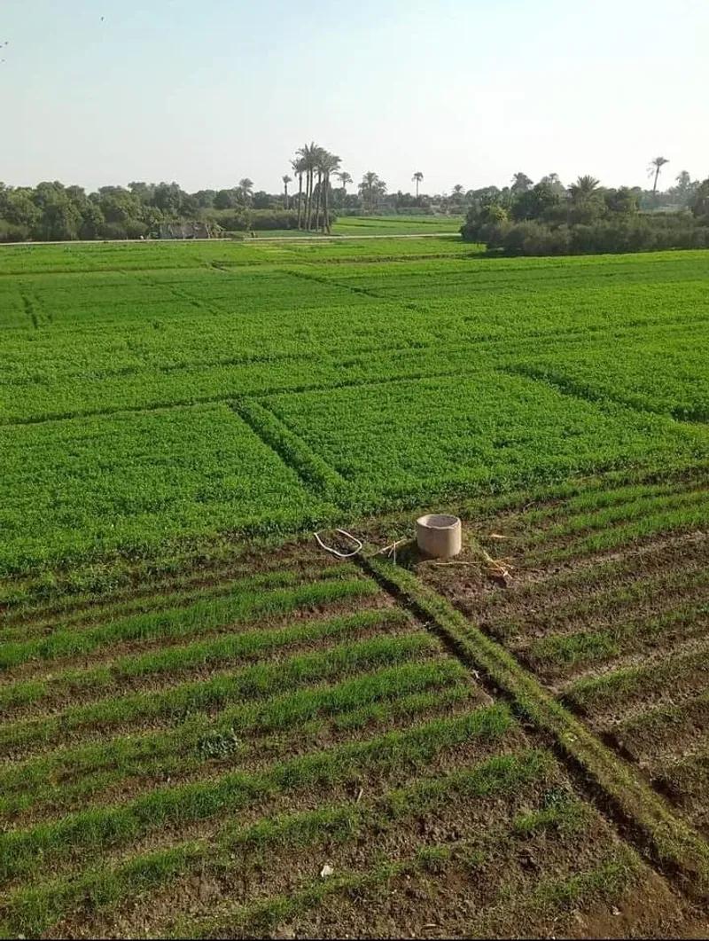 عشرة افدنه للبيع