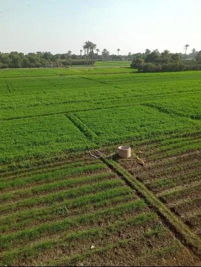 عشرة افدنه للبيع