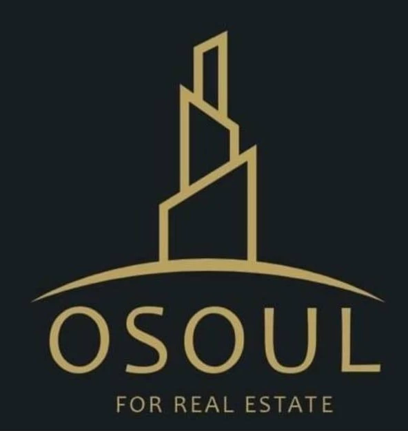 OSOUL REAL ESTATE